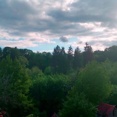 Ferienwohnung Im Manbach Freudenstadt Kültér fotó