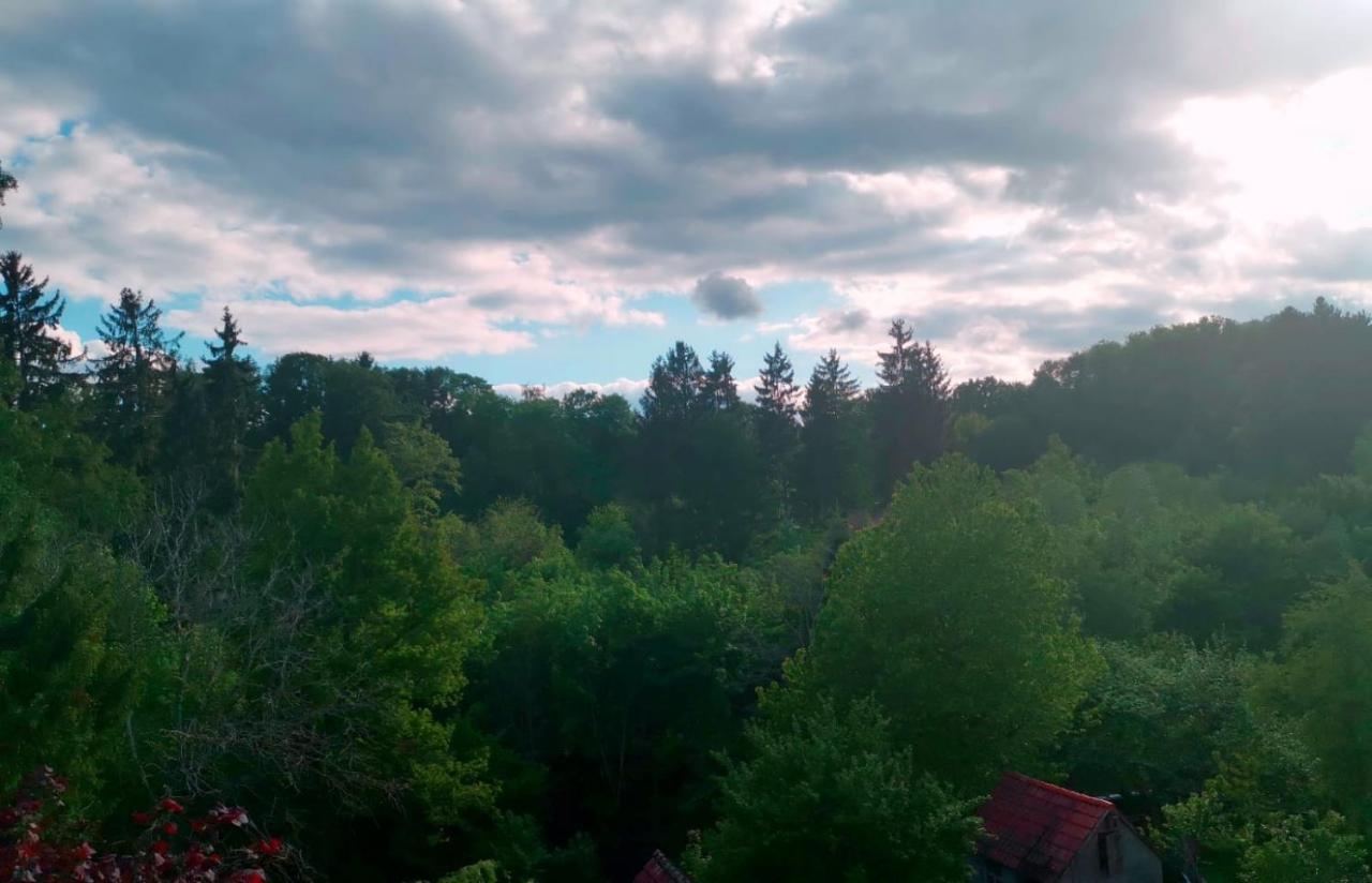 Ferienwohnung Im Manbach Freudenstadt Kültér fotó