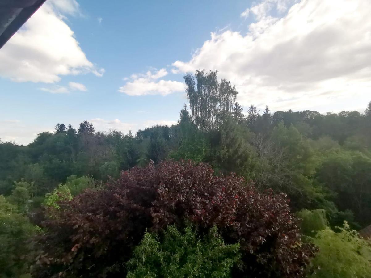 Ferienwohnung Im Manbach Freudenstadt Kültér fotó